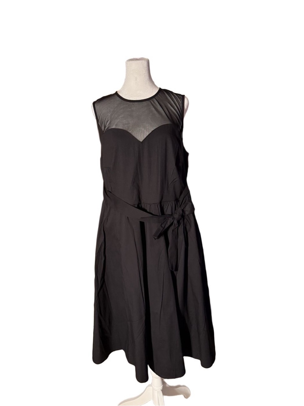 torrid Retro Chic Mesh Sweetheart Dress